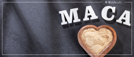 Bild für Kategorie: Maca - Extrakt