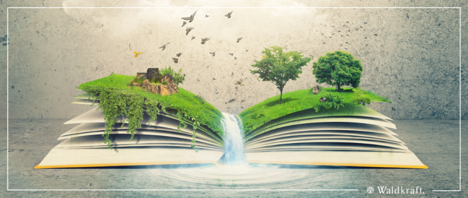 Bücher