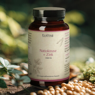 Nattokinase + Zink Kapseln 2500 FU