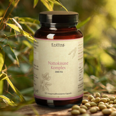 Nattokinase - Komplex 2000 FU