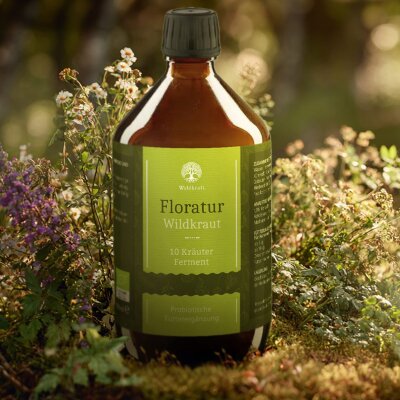 BIO Floratur Wildkraut - 10 Kräuter Ferment - 510ml