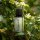 DEMETER Ätherisches Bergamotte-Öl - 10ml