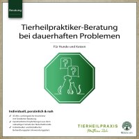 THP-Beratung: Gesundheitsberatung