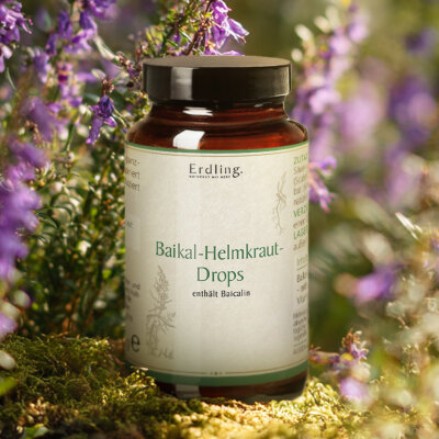 Baikal-Helmkraut Drops - 60 Stück
