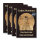 Buch: Codex Humanus - Das Buch der Menschlichkeit - Band 2
