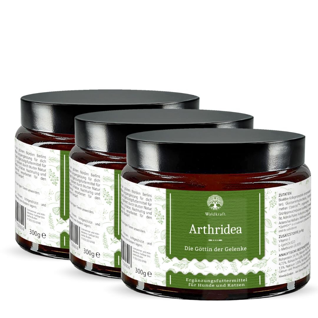 Set: 3er Pack - Arthridea - Die G&ouml;ttin der Gelenke - Tiegel 3x 300g