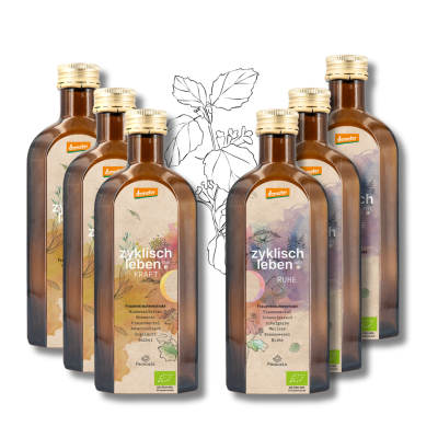 3-Monats-Zykluskur: BIO Oxymel aus Frauenkräutern -...