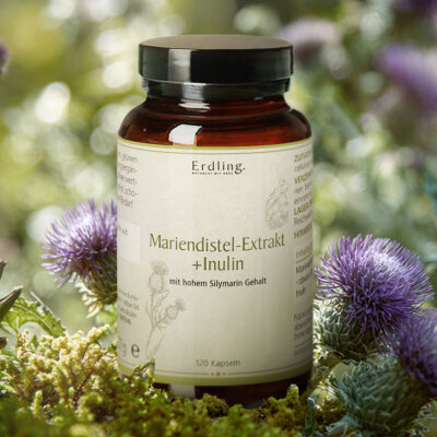Mariendistel-Extrakt + Inulin - Kapseln