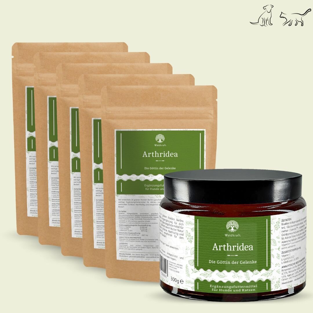 Set: 6er Pack - Arthridea - Die G&ouml;ttin der Gelenke - Tiegel 1x 300g + Nachf&uuml;llpack 5x 300g