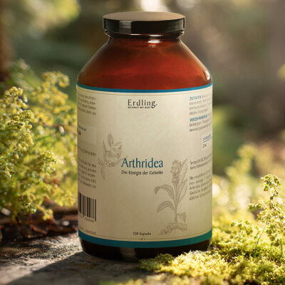 Arthridea Kapseln - 530 Kapseln