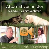 Video-Workshop: "Alternativen in der...