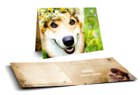 Der besondere Geschenkgutschein