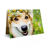 Der besondere Geschenkgutschein