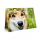 Der besondere Geschenkgutschein