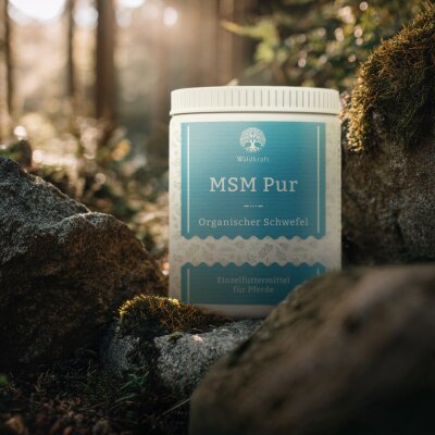 MSM Pur für Pferde - Organischer Schwefel - OptiMSM® - 1000g
