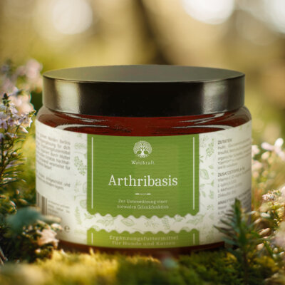 Arthribasis - Natürliche Gelenkunterstützung -...