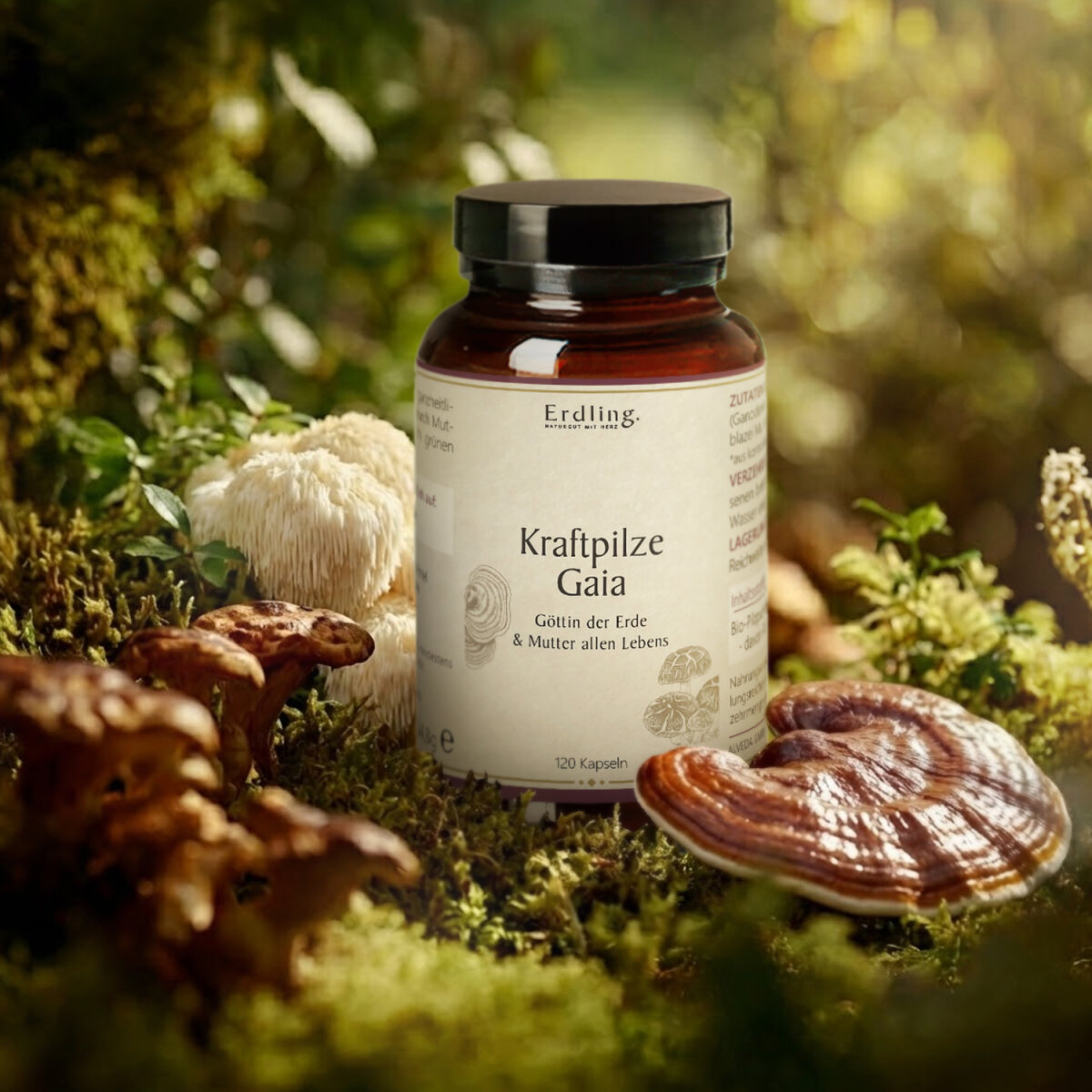 BIO Kraftpilze Gaia - Vitalpilz Synergetikum - 120 Kapseln