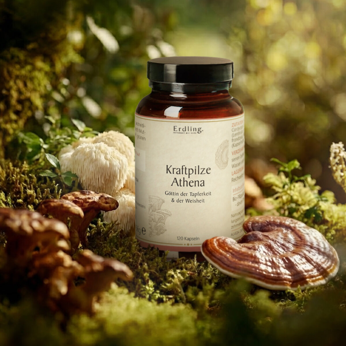 BIO Kraftpilze Athena - Vitalpilz Synergetikum - 120 Kapseln