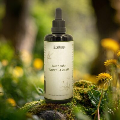Löwenzahnwurzel-Extrakt - 50ml