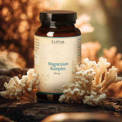 Magnesium-Komplex - 120 Kapseln
