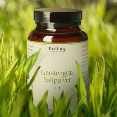 BIO Gerstengras Saftpulver - 90g