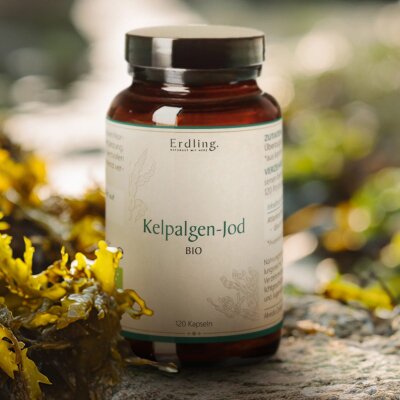 BIO Kelpalgen-Jod - 120 Kapseln