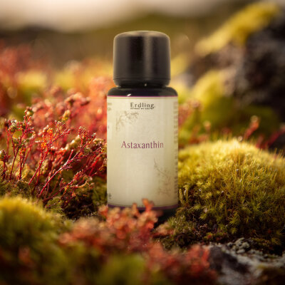 Astaxanthin aus Island - 30ml