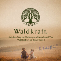 CDL/CDS - Chlordioxid in Originalrezeptur (Chlordioxidlösung) - 50ml