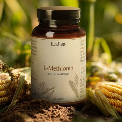 L-Methionin - 120 Kapseln