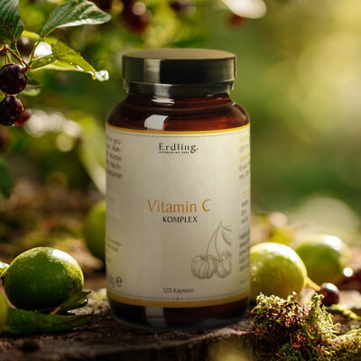 Vitamin C Komplex - 120 Kapseln