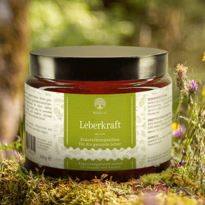 Leberkraft - Kräutermischung für die Leber von...