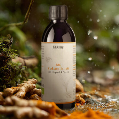 BIO Kurkuma-Extrakt mit Gingerol und Piperin in Oxymel -...