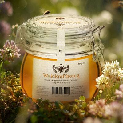 Waldkraft Honig - Jahrgang 2025 - 150g