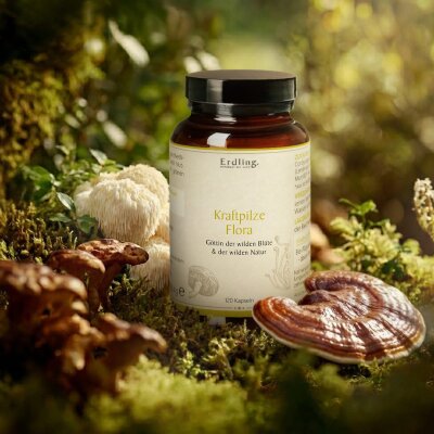 BIO Kraftpilze Flora - Vitalpilz Synergetikum - 120 Kapseln