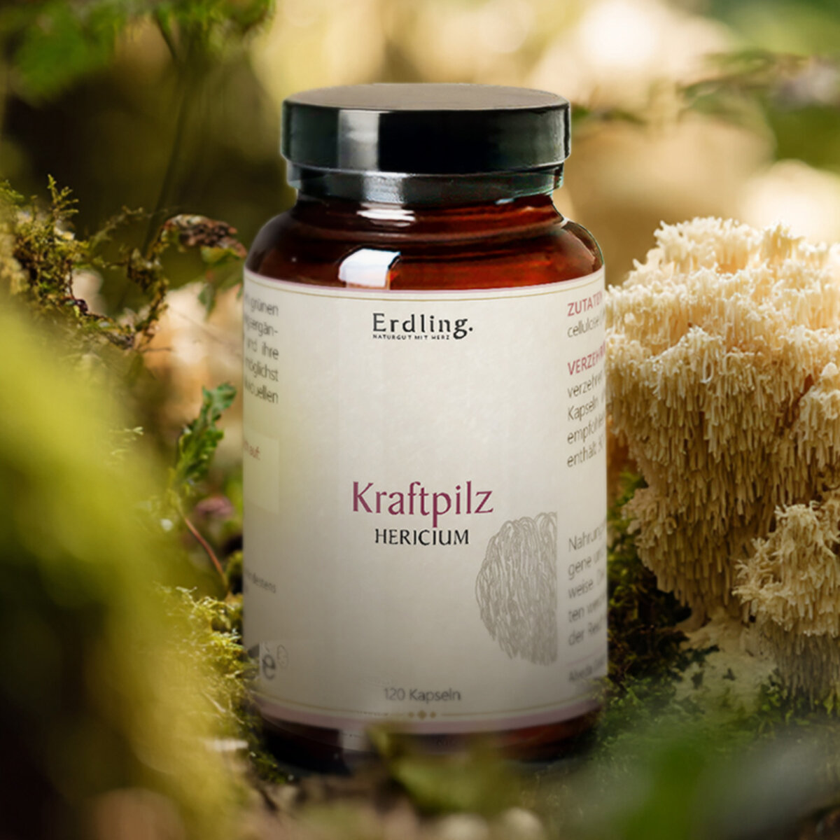 BIO Kraftpilz Hericium - Vitalpilz - 120 Kapseln