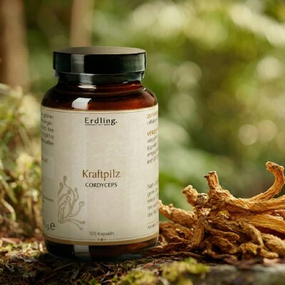 BIO Kraftpilz Cordyceps - Vitalpilz - 120 Kapseln